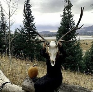 Meet your Posher, Shelby